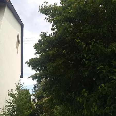 Studio * Bermatingen