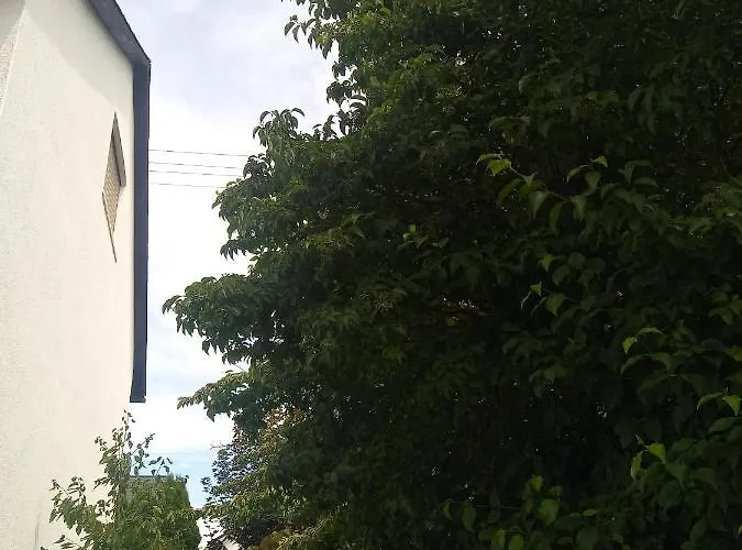 Studio * Bermatingen